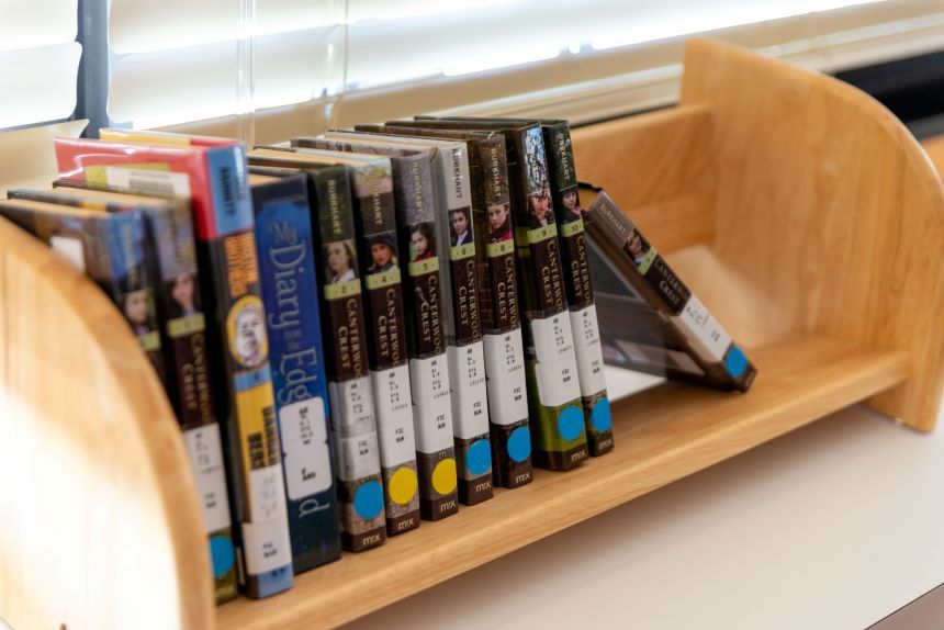 Books on a bookshelf.